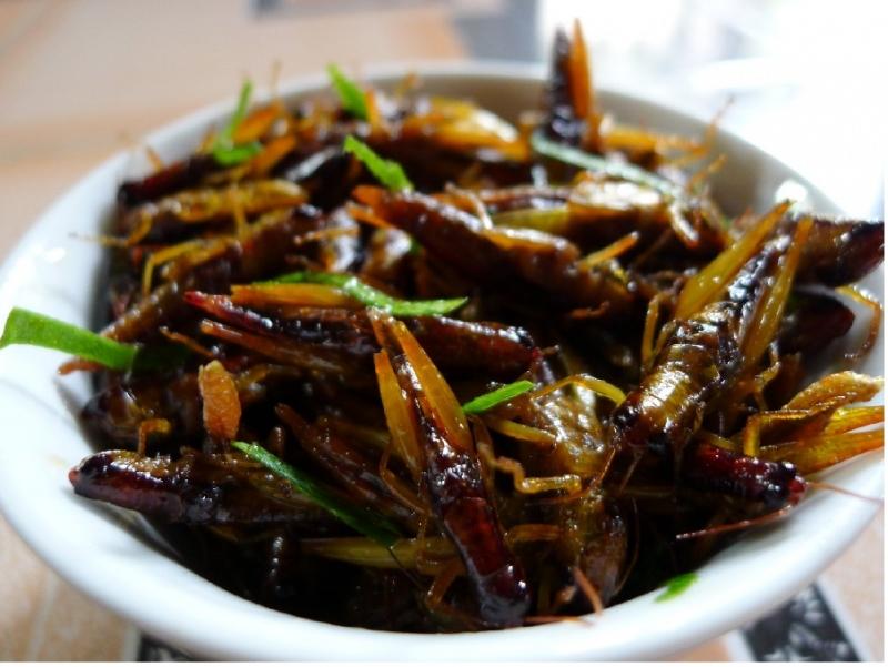 Châu chấu rang lá chanh