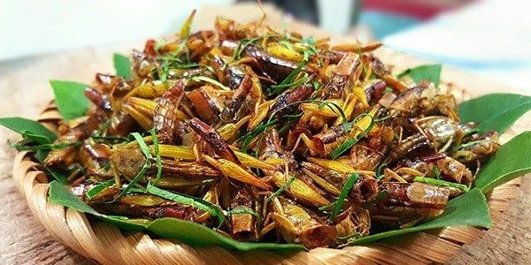 Ảnh minh họa - nguồn: internet