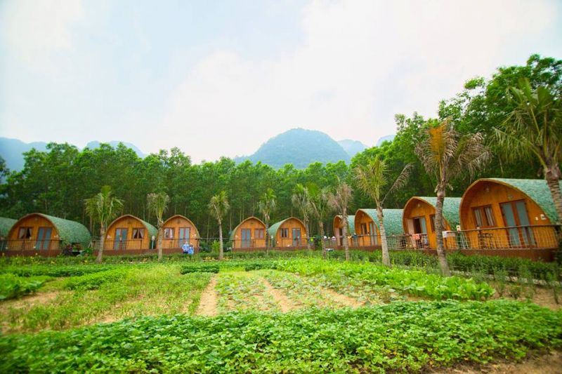 Chày Lập Farmstay