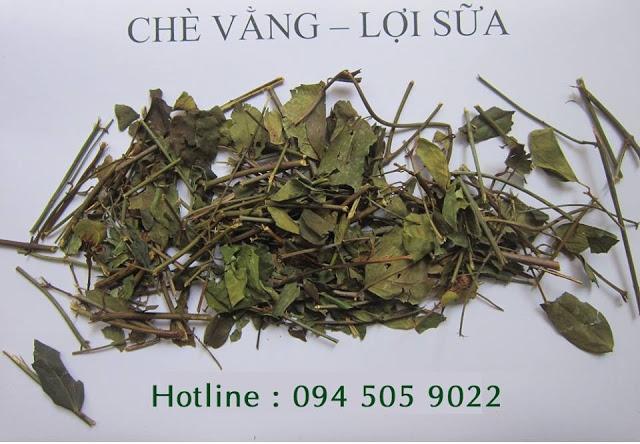 Sản phẩm chè vằng Khô của Minh Hương