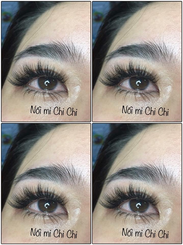 Nối mi Chi Chi