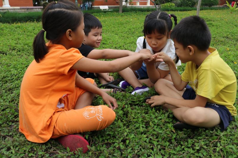 Ảnh minh họa (Nguồn Internet)