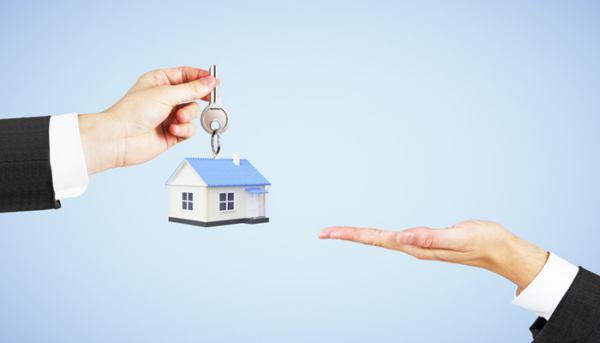 Tìm hiểu thông tin về dự án và chủ đầu tư