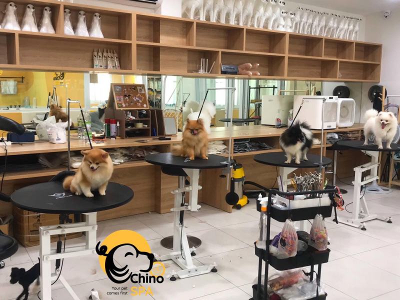Siêu thị thú cưng ChinoPet
