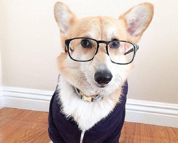 Hết can đảm và nói cho cả thế giới biết bạn yêu cô ấy nhé!