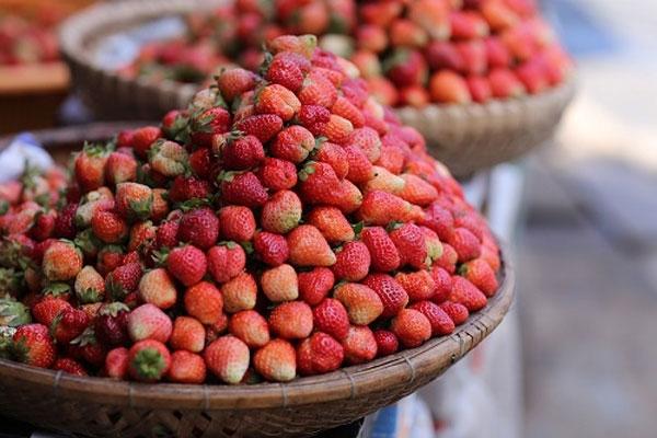 Đặc sản dâu tây