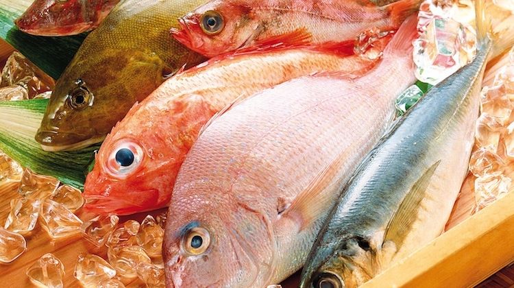 Các loại cá tại chợ Diêm Điền rất tươi ngon.