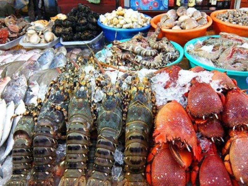 Hải sản luôn tươi vì mới được đánh bắt
