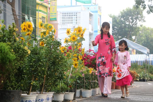 Bài văn tả cảnh chợ hoa ngày tết quê em số 8