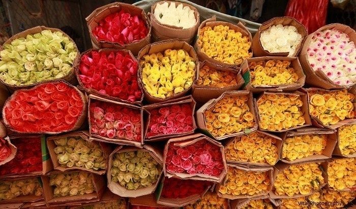 Chợ hoa Hồ Thị Kỷ