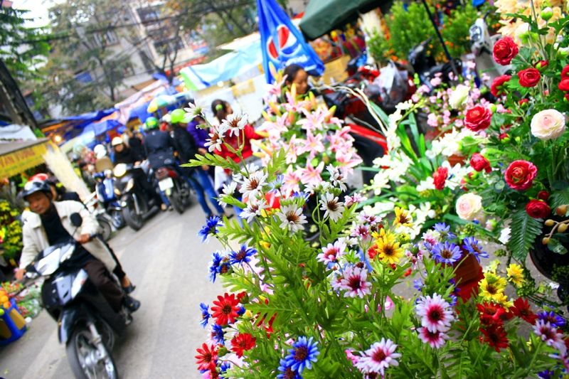 Các loại hoa cùng nhau khoe sắc
