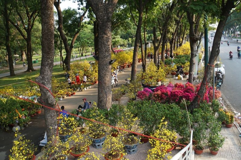 Chợ hoa Tết công viên Gia Định
