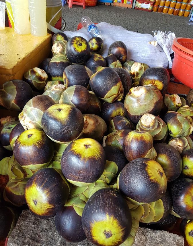 Trái thốt nốt đặc sản Tịnh Biên, An Giang