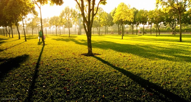 Chọn hướng sáng, lấy nét đối tượng
