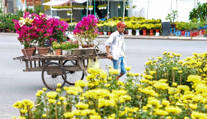 Chọn thời điểm bán thích hợp