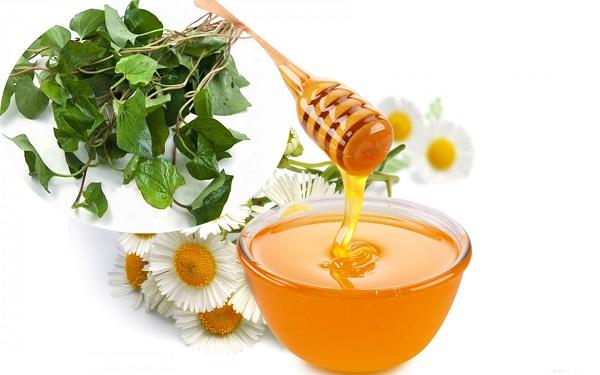 Diếp cá và mật ong