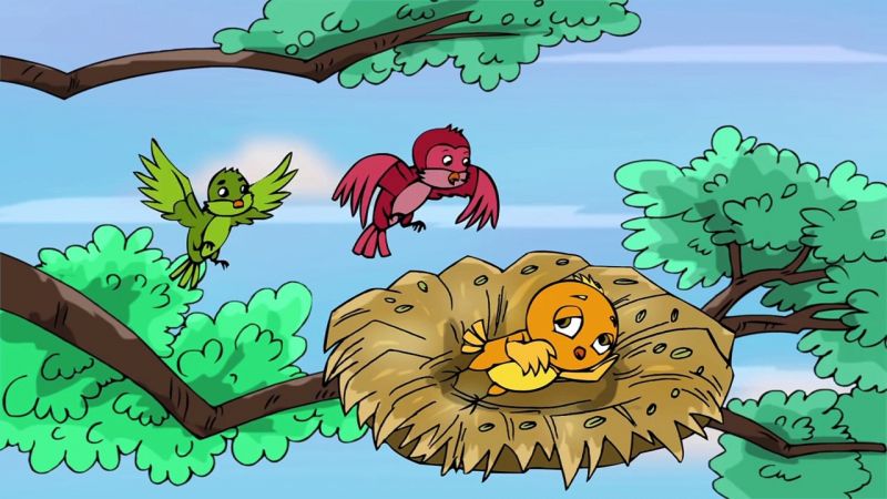Chú chim nhỏ lười biếng