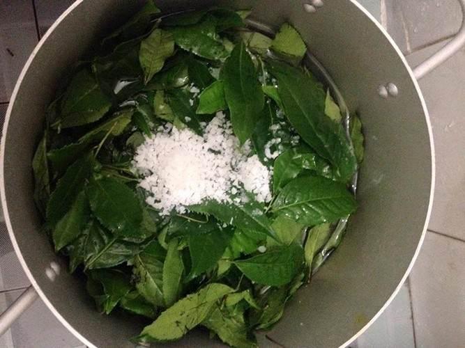 Chữa viêm phụ khoa bằng lá chè xanh