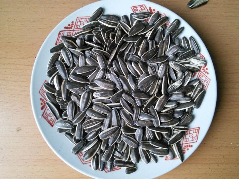 Chữa chứng ù tai cực kì hiệu quả