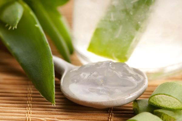 Dùng nha đam trị rụng tóc là phương pháp lành tính và hiệu quả