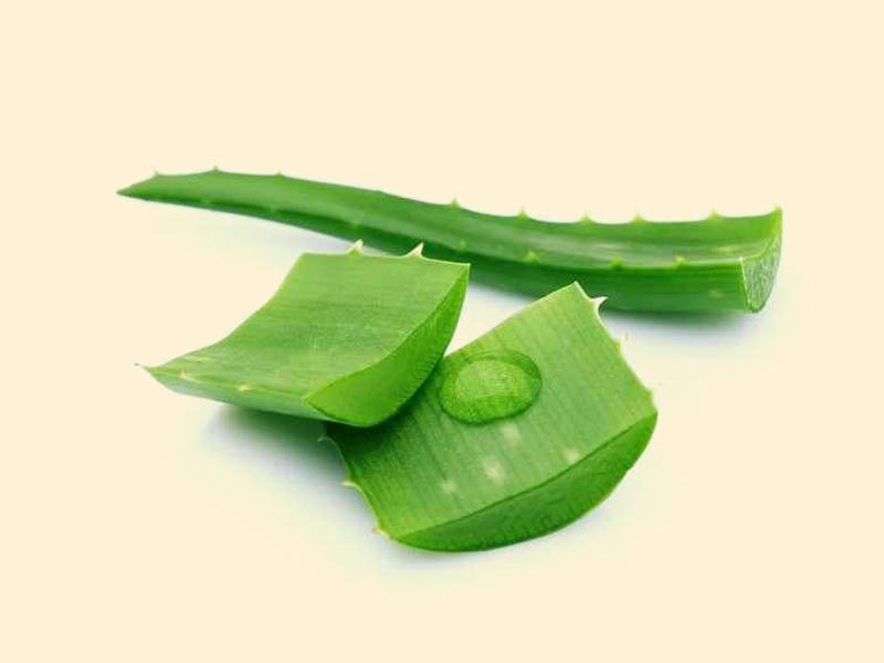 Chữa đau mắt đỏ bằng nha đam