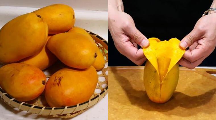 Vỏ xoài chữa đau nhức răng hiệu quả