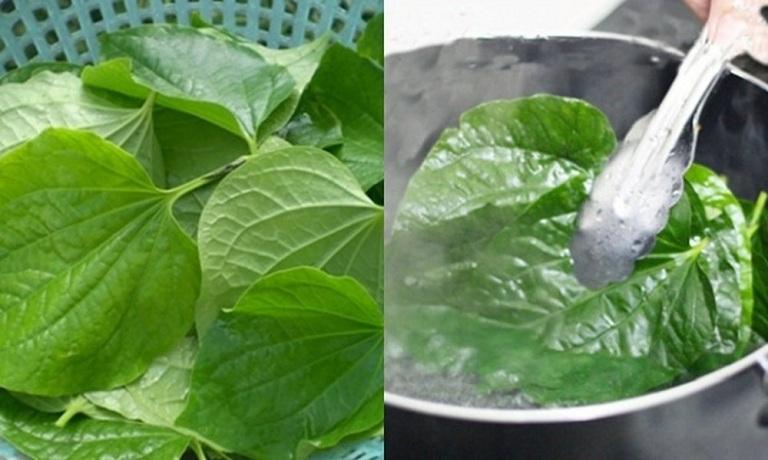 Nấu nước lá lốt uống trị bệnh xương khớp