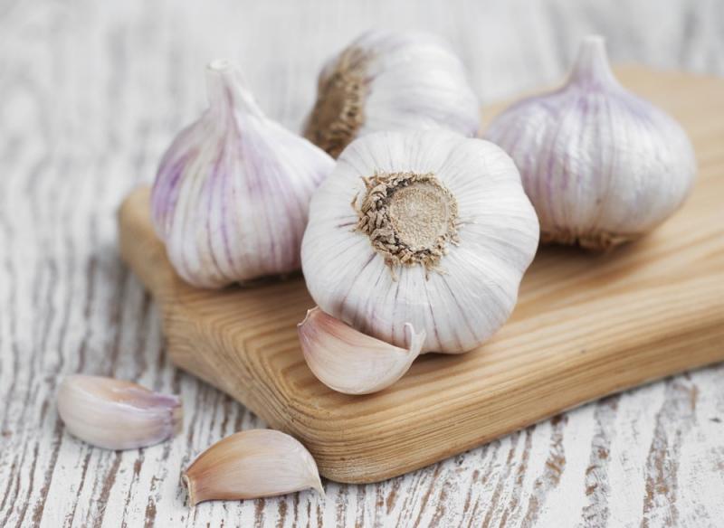 Tỏi chữa họ hiệu quả