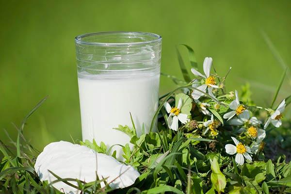 Chữa ngộ độc rượi