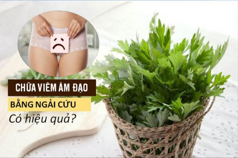 Chữa viêm phụ khoa bằng lá ngải cứu