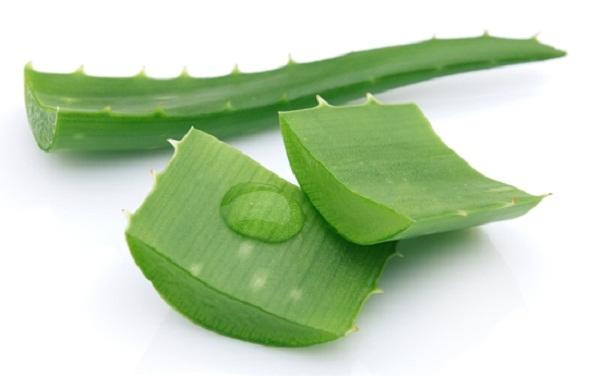 Không chỉ làm đẹp nha đam còn chữa được bệnh viêm đại tràng mà bạn nên biết.