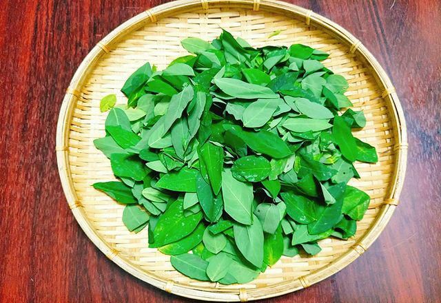 Chữa viêm lỗ chân lông bằng rau ngót
