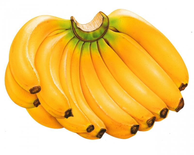 Chữa bệnh đau dạ dày