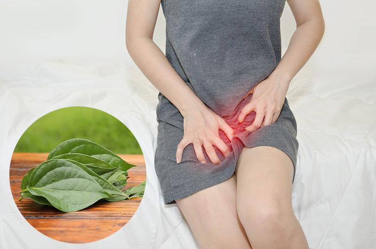 Chữa viêm nhiễm phụ khoa bằng lá trầu không