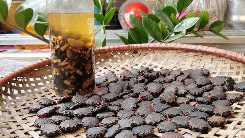 Chữa viêm xoang bằng hạt gấc ngâm rượu