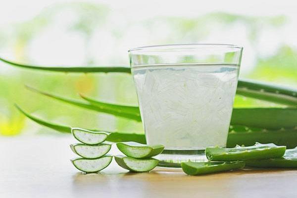 Phương pháp chữa zona bằng nha đam từ bên trong