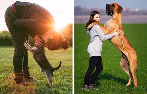 Chúng ta để những con chó của chúng tôi đặt chân lên người chính mình