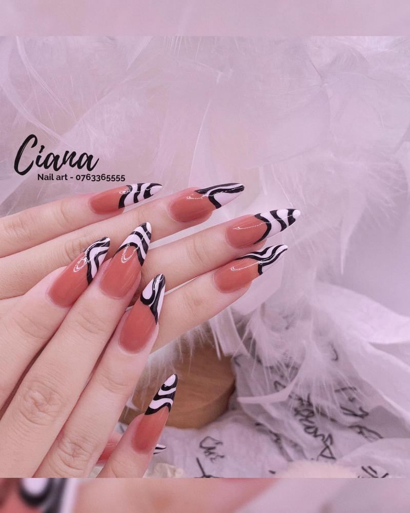 Ciana Nails