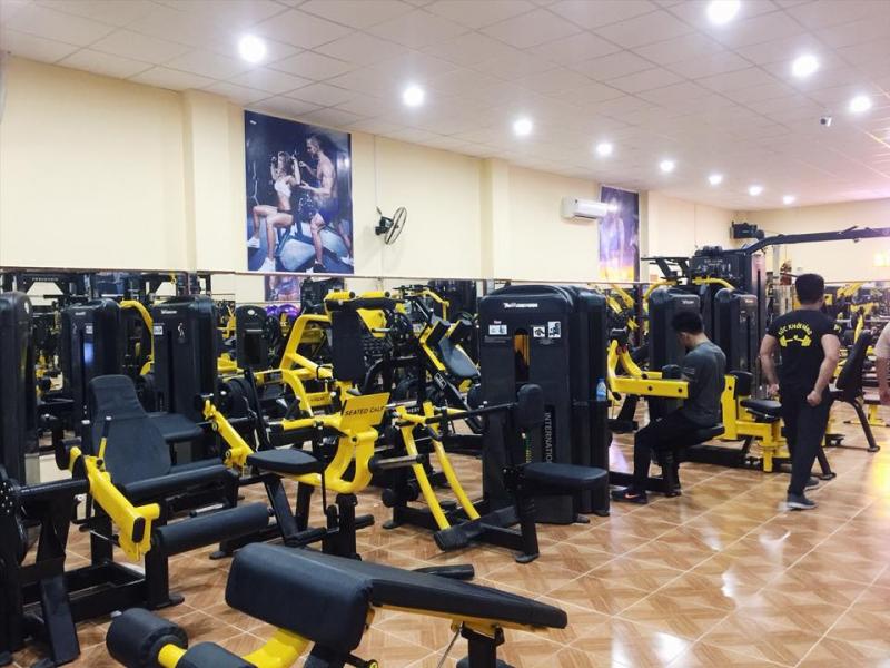 Clb Gym Sức Khỏe Vàng