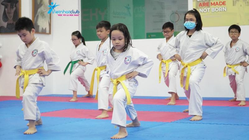 CLB võ thuật Việt Nhật