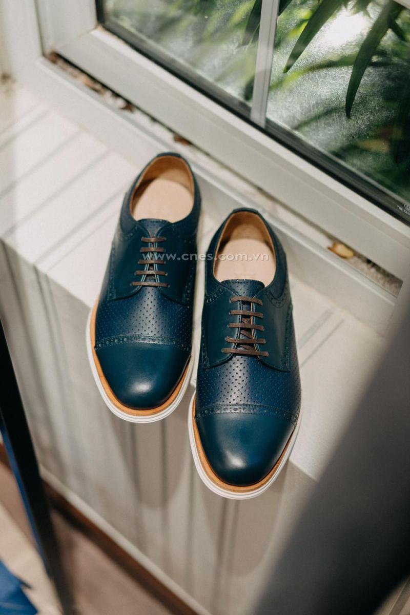 CNES Shoemaker