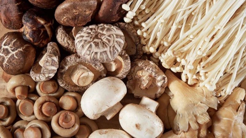 Nấm tươi có hàm lượng protein lên đến 1,75%-3,63%