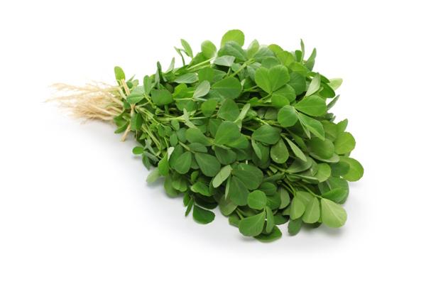 Cỏ cà ri