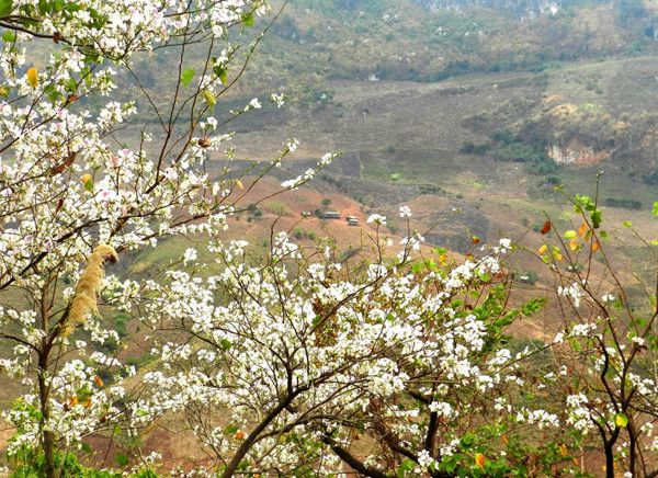 Nét đẹp người thầy