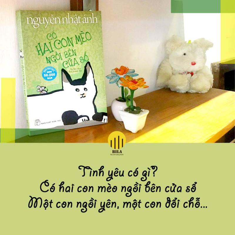 Có hai con mèo ngồi bên cửa sổ