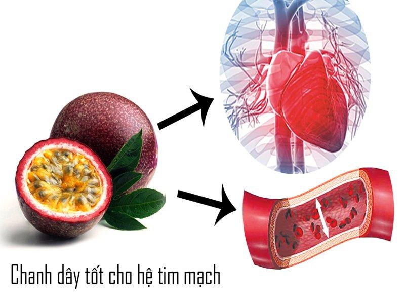 Làm gì để phòng ngừa bệnh lý tim mạch?