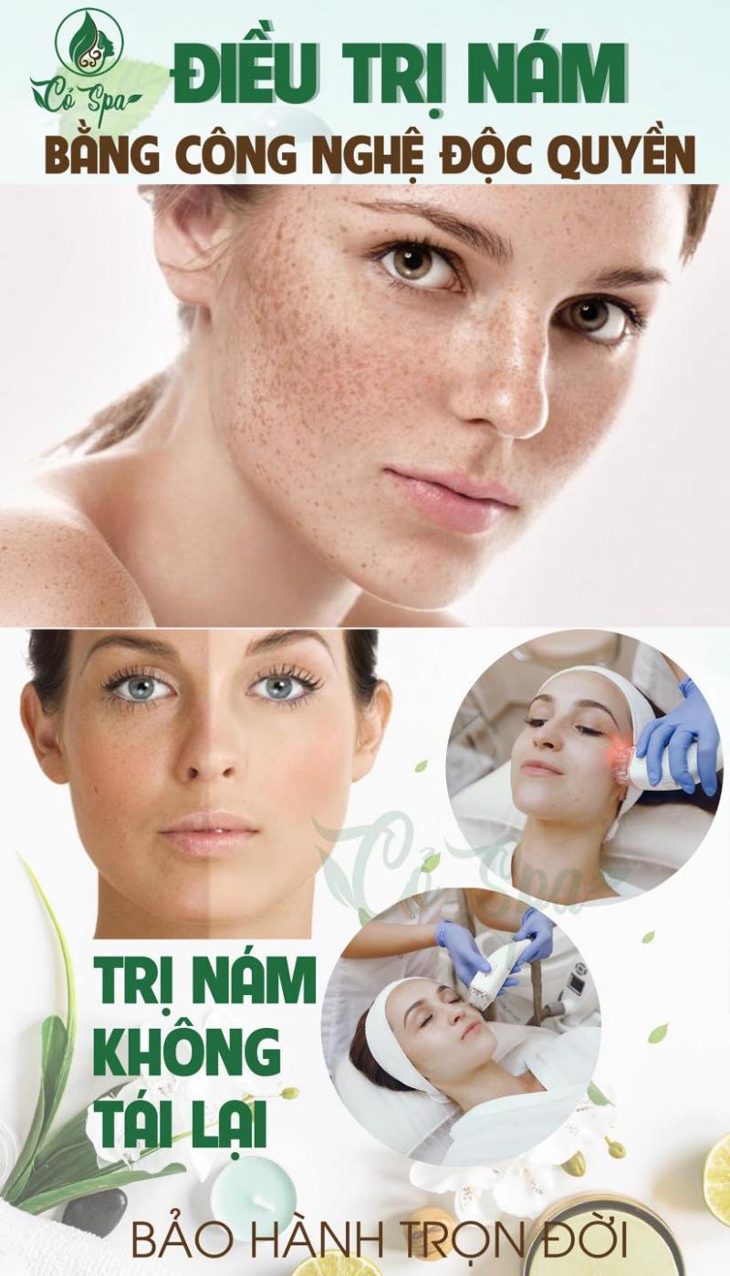 Cỏ Spa