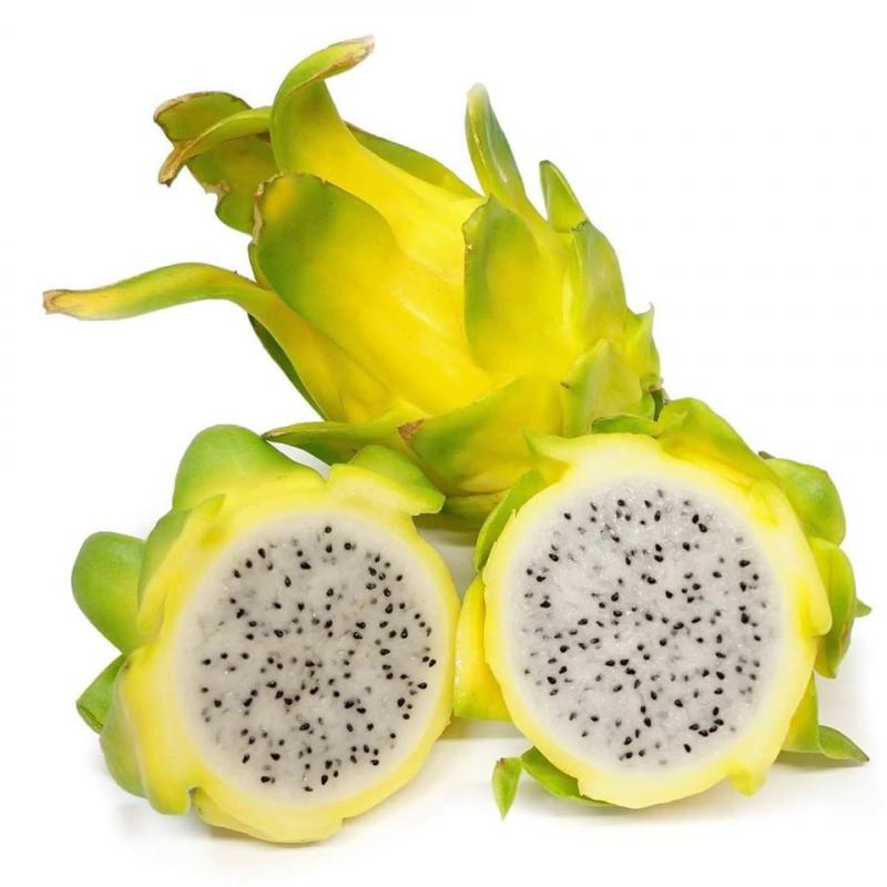 Có thể ngăn ngừa ung thư