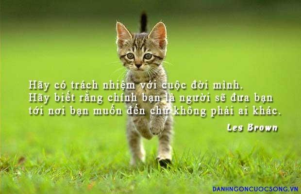 Hãy sống có trách nhiệm