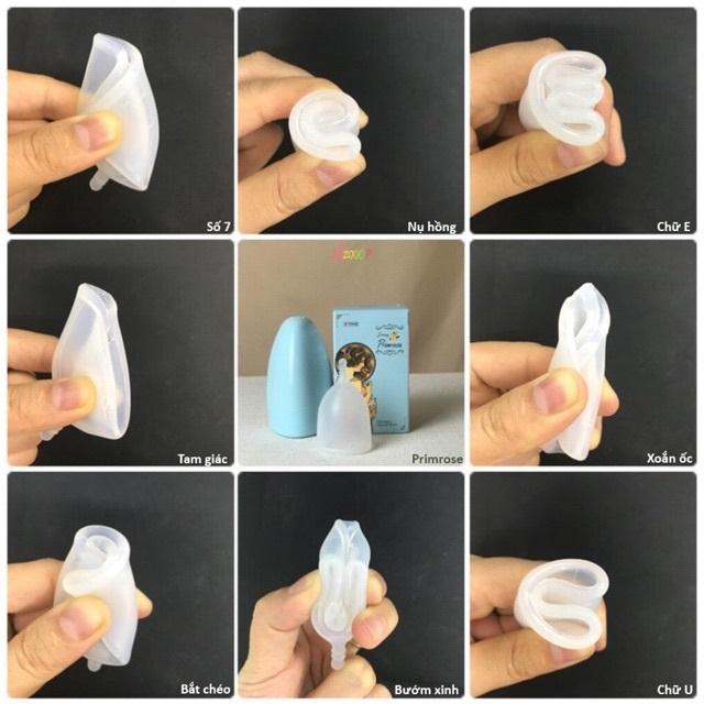 Cốc Nguyệt San Primrose
